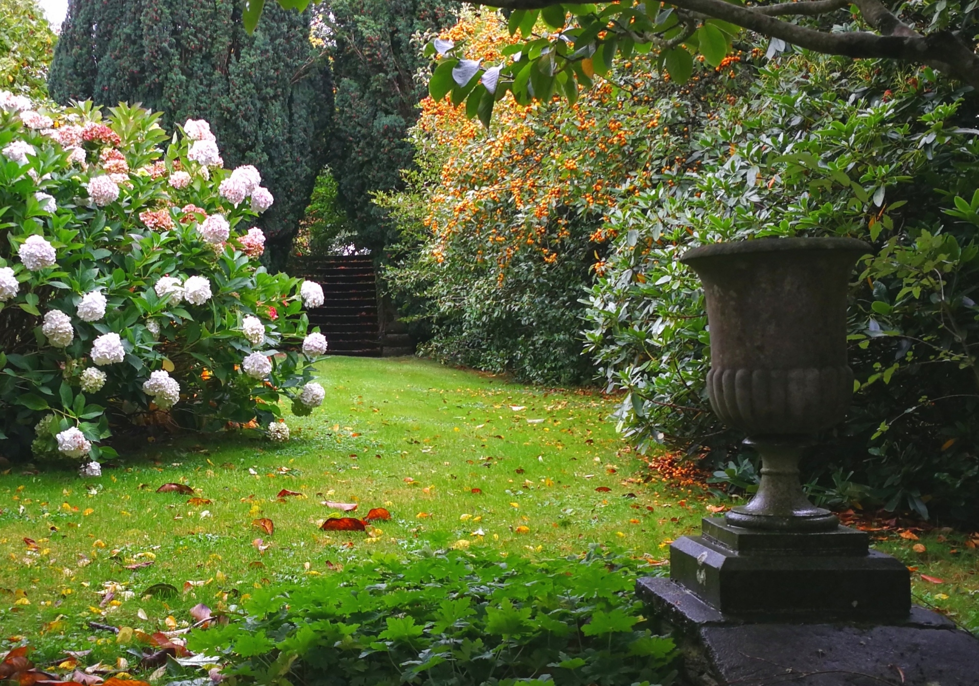 Open Gardens at Bowringsleigh, Kingsbridge